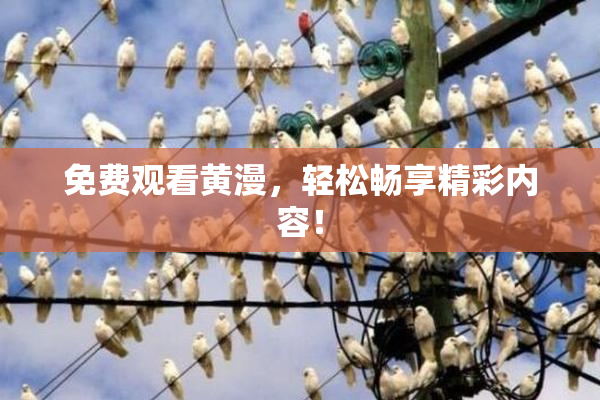 免费观看黄漫，轻松畅享精彩内容！