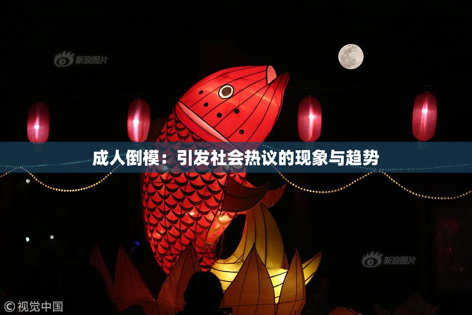 成人倒模：引发社会热议的现象与趋势