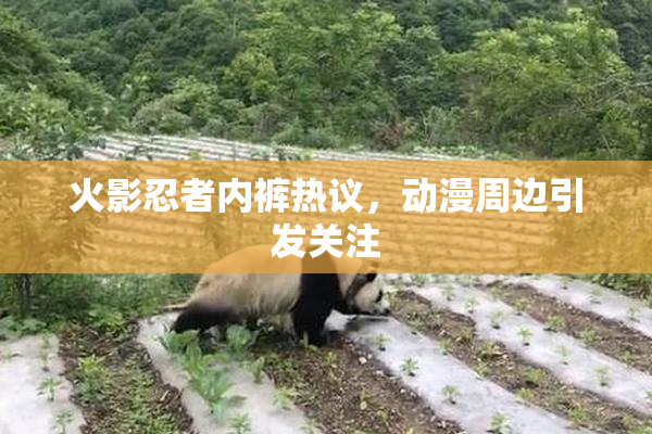 火影忍者内裤热议，动漫周边引发关注
