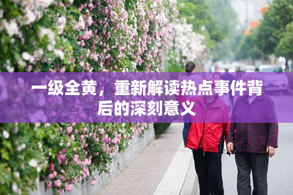 一级全黄，重新解读热点事件背后的深刻意义