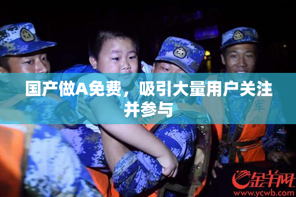 国产做A免费，吸引大量用户关注并参与
