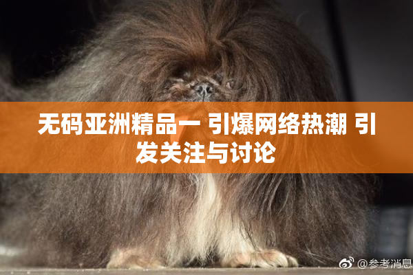 无码亚洲精品一 引爆网络热潮 引发关注与讨论