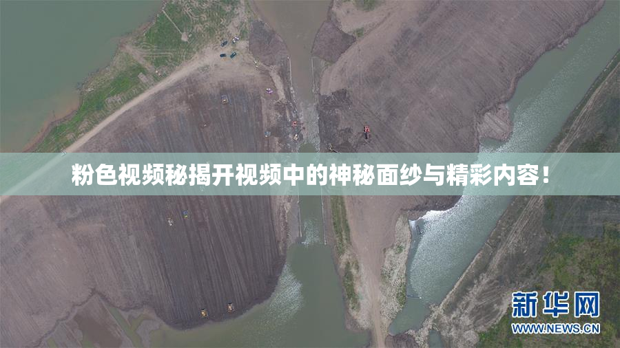 粉色视频秘揭开视频中的神秘面纱与精彩内容！