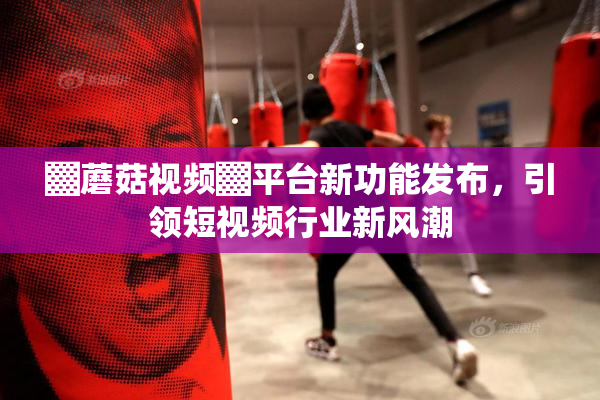 ▓蘑菇视频▓平台新功能发布，引领短视频行业新风潮