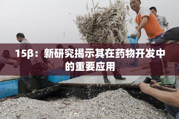 15β：新研究揭示其在药物开发中的重要应用