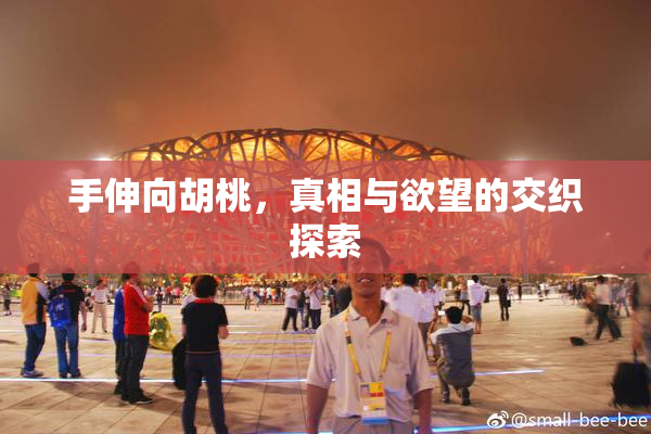 手伸向胡桃，真相与欲望的交织探索