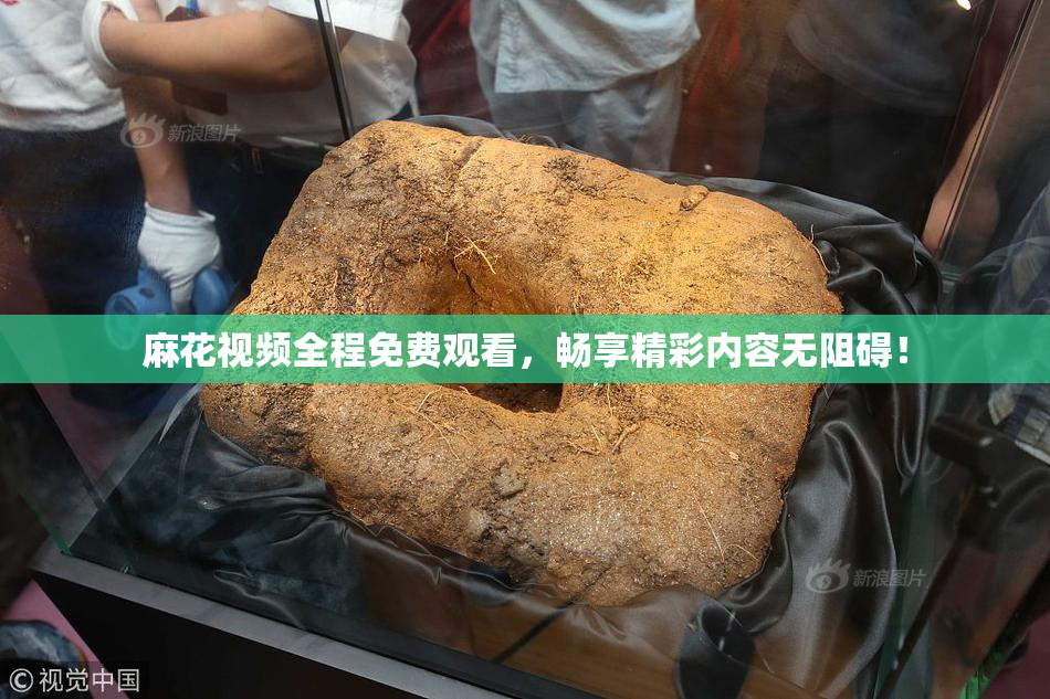 麻花视频全程免费观看，畅享精彩内容无阻碍！