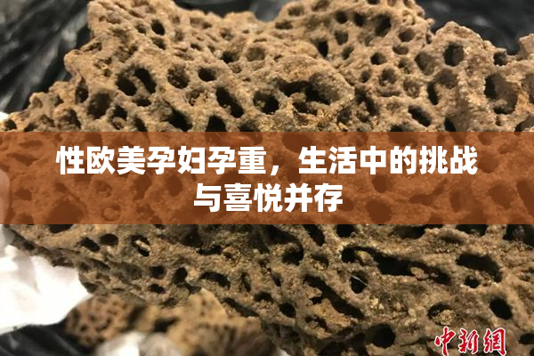 性欧美孕妇孕重，生活中的挑战与喜悦并存
