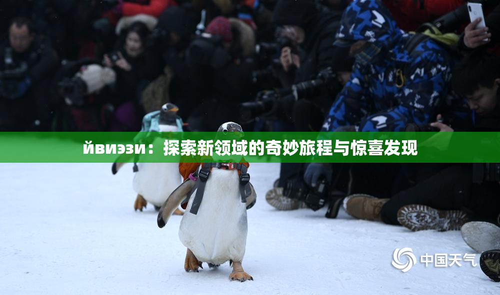 йвиэзи：探索新领域的奇妙旅程与惊喜发现
