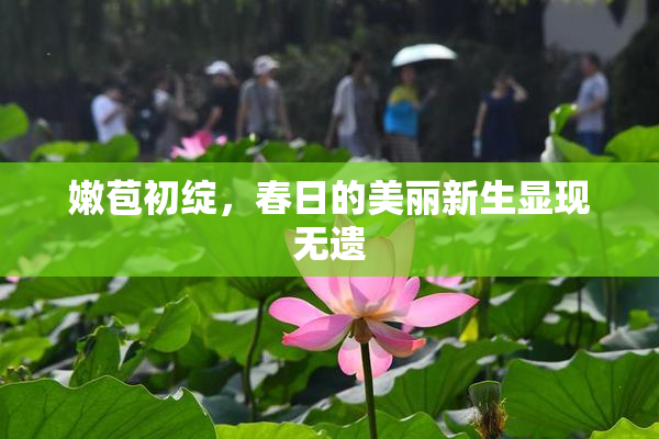 嫩苞初绽，春日的美丽新生显现无遗