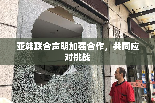 亚韩联合声明加强合作，共同应对挑战