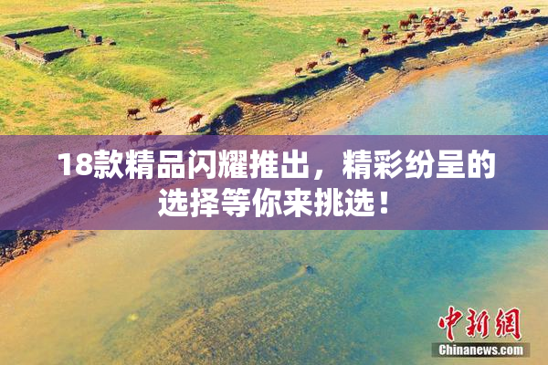 18款精品闪耀推出，精彩纷呈的选择等你来挑选！