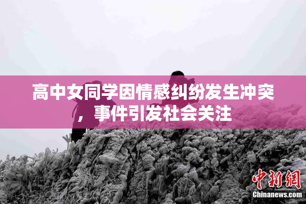 高中女同学因情感纠纷发生冲突，事件引发社会关注