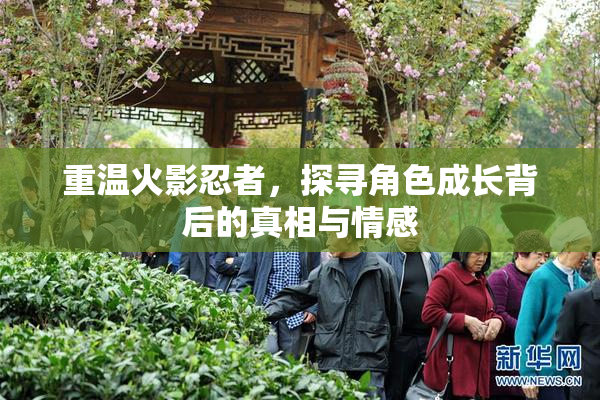 重温火影忍者，探寻角色成长背后的真相与情感