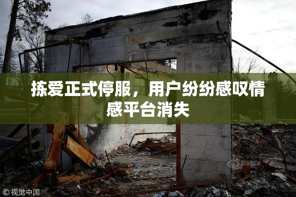 拣爱正式停服，用户纷纷感叹情感平台消失