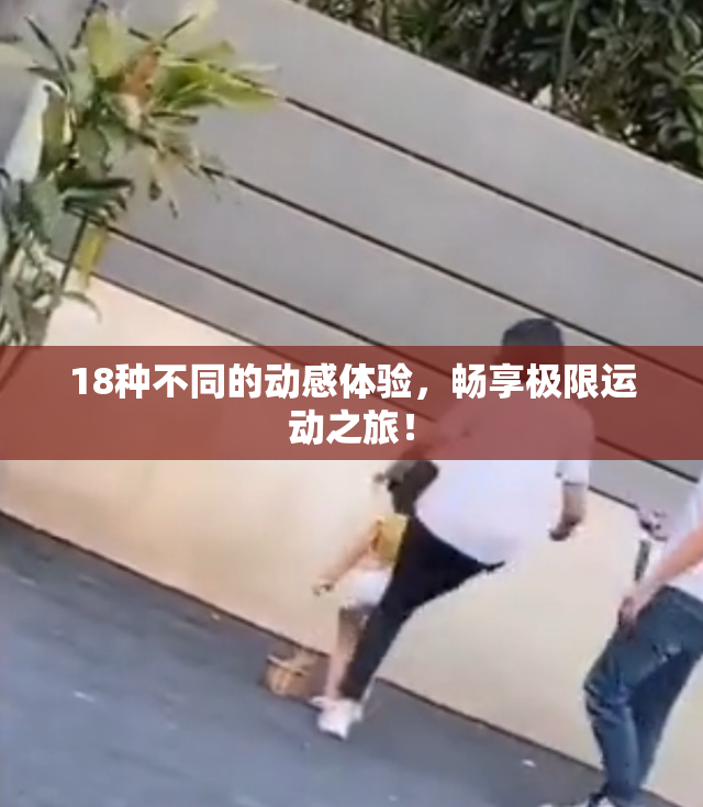 18种不同的动感体验，畅享极限运动之旅！