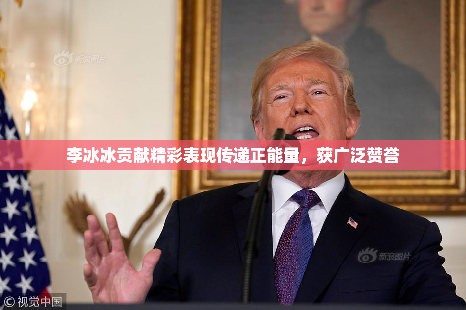 李冰冰贡献精彩表现传递正能量，获广泛赞誉