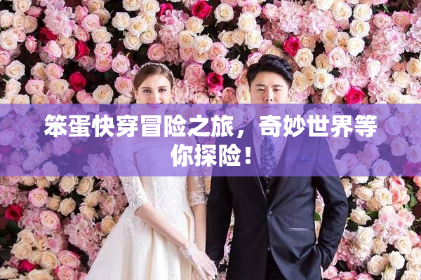 笨蛋快穿冒险之旅，奇妙世界等你探险！