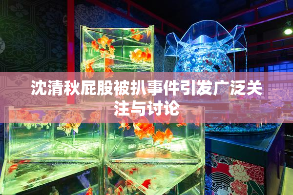 沈清秋屁股被扒事件引发广泛关注与讨论