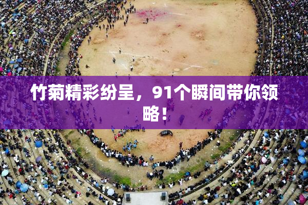 竹菊精彩纷呈，91个瞬间带你领略！