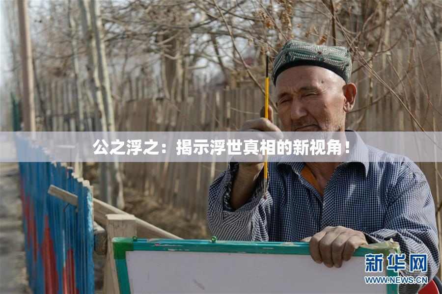 公之浮之：揭示浮世真相的新视角！