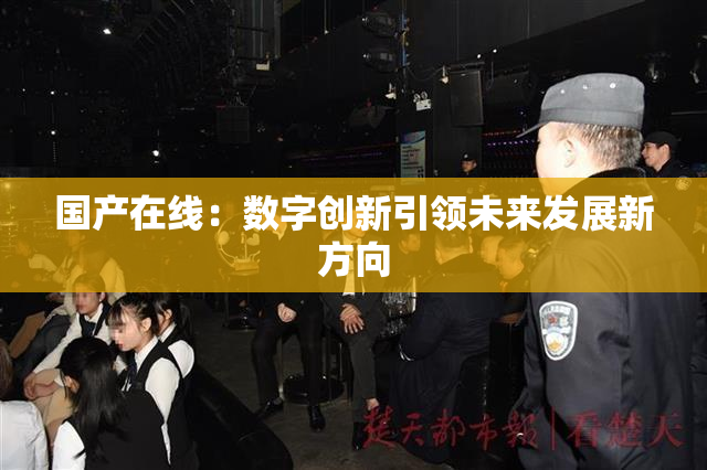国产在线：数字创新引领未来发展新方向