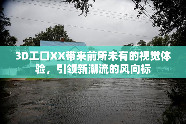 3D工口XX带来前所未有的视觉体验，引领新潮流的风向标