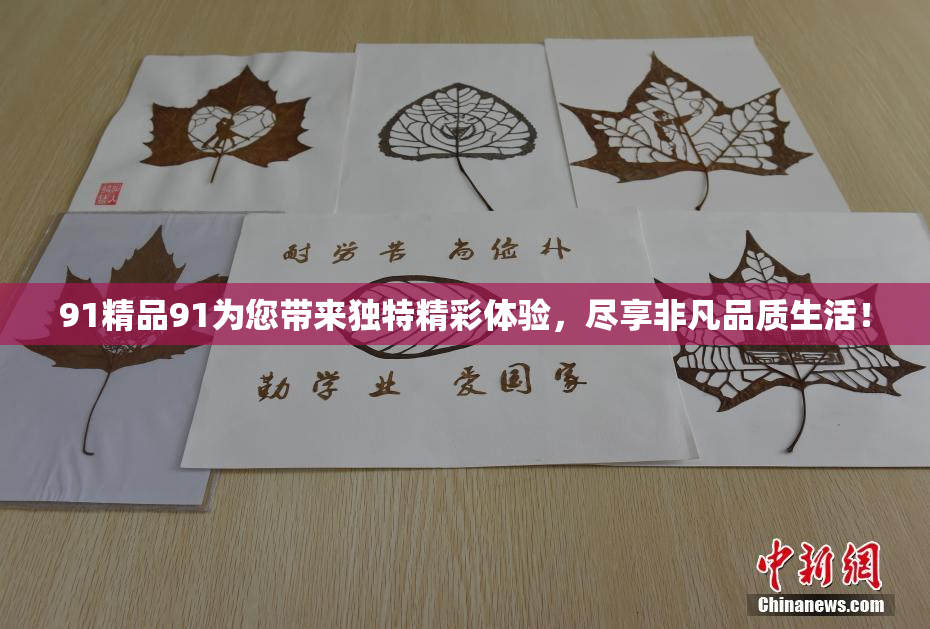 91精品91为您带来独特精彩体验，尽享非凡品质生活！
