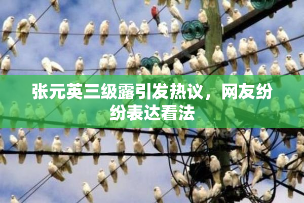 张元英三级露引发热议，网友纷纷表达看法