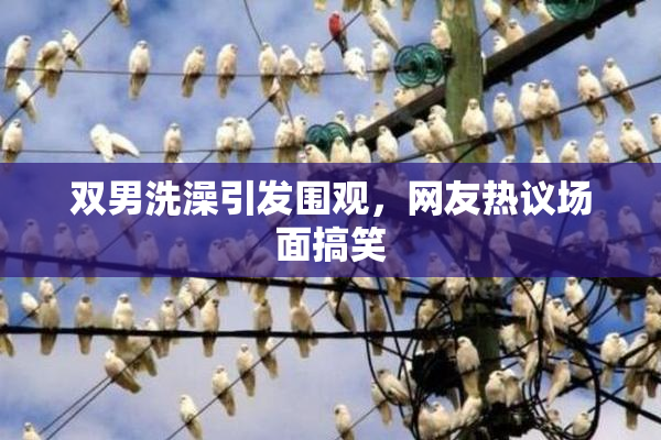 双男洗澡引发围观，网友热议场面搞笑