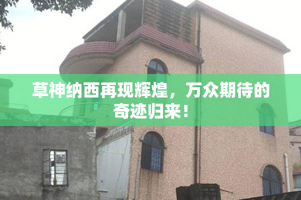 草神纳西再现辉煌，万众期待的奇迹归来！