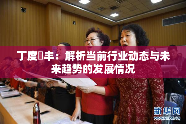 丁度巜丰：解析当前行业动态与未来趋势的发展情况