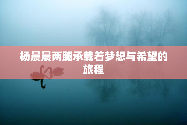 杨晨晨两腿承载着梦想与希望的旅程