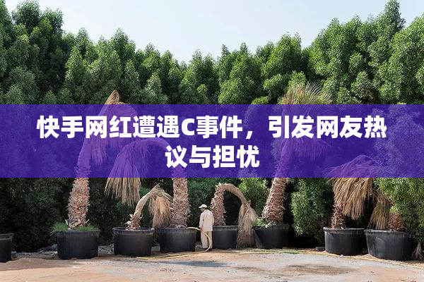 快手网红遭遇C事件，引发网友热议与担忧