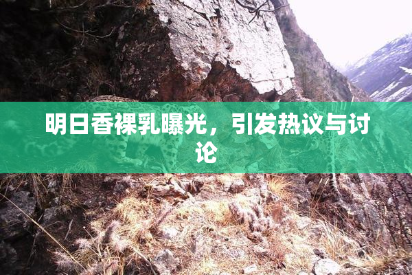 明日香裸乳曝光，引发热议与讨论