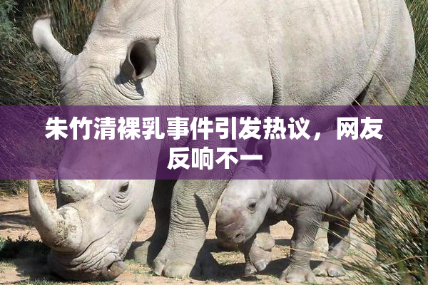 朱竹清裸乳事件引发热议，网友反响不一