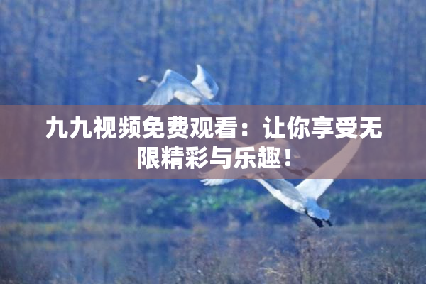 九九视频免费观看：让你享受无限精彩与乐趣！