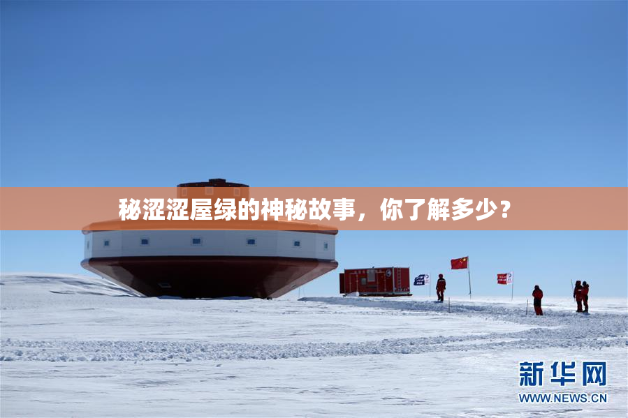 秘涩涩屋绿的神秘故事，你了解多少？