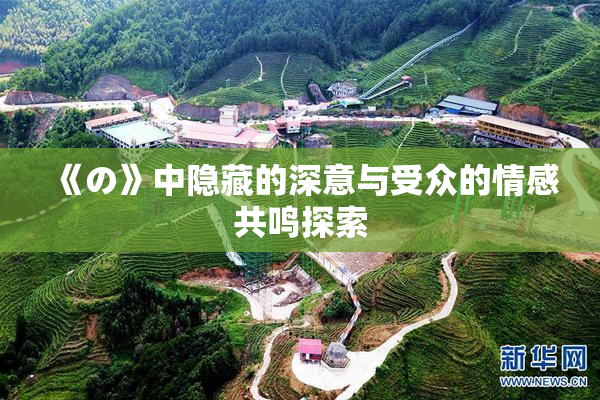 《の》中隐藏的深意与受众的情感共鸣探索