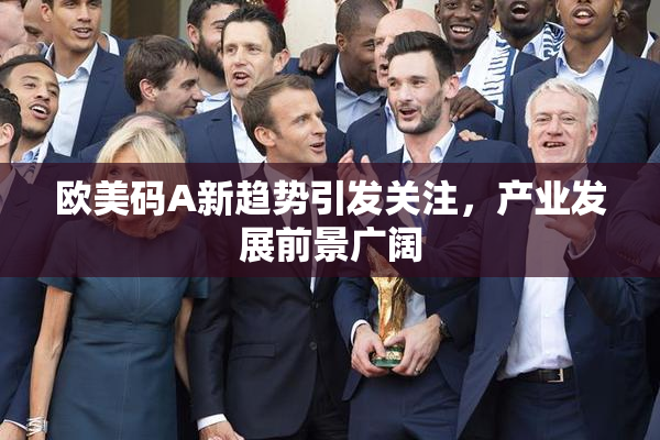欧美码A新趋势引发关注，产业发展前景广阔