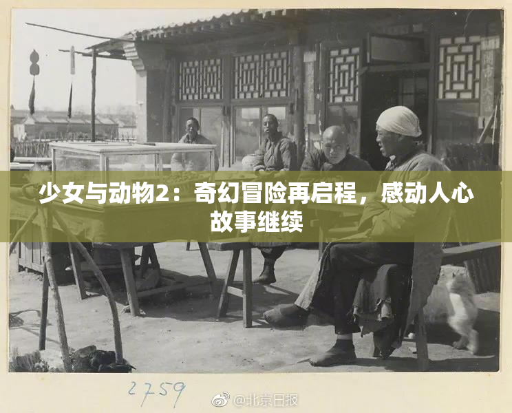 少女与动物2：奇幻冒险再启程，感动人心故事继续