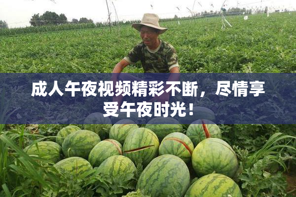 成人午夜视频精彩不断，尽情享受午夜时光！