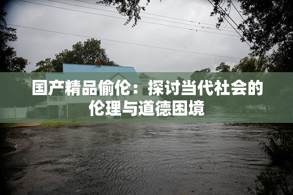 国产精品偷伦：探讨当代社会的伦理与道德困境