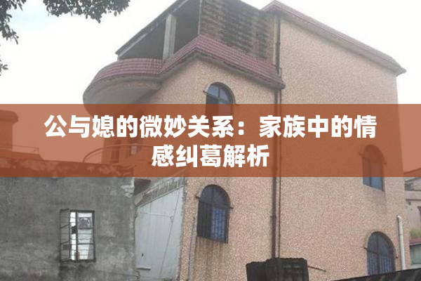 公与媳的微妙关系：家族中的情感纠葛解析
