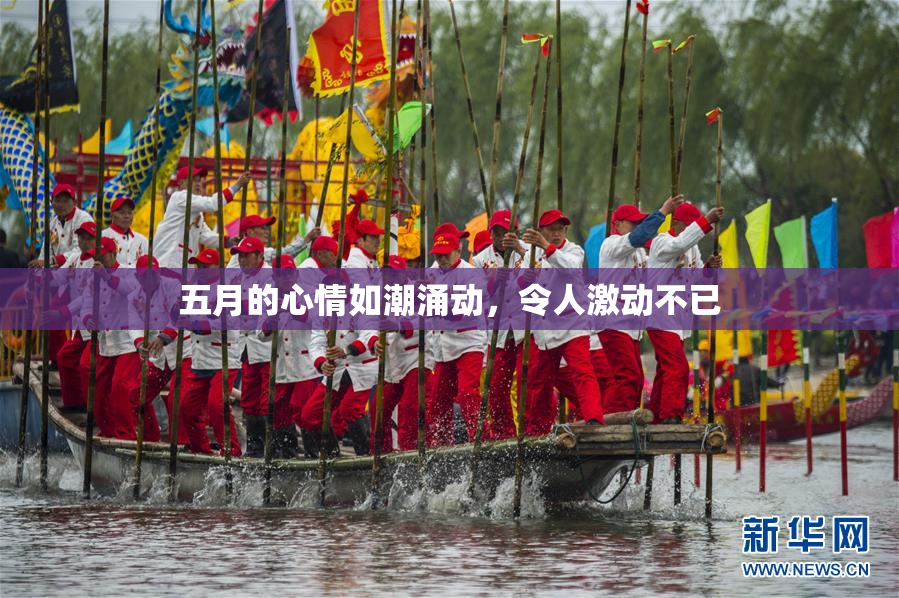 五月的心情如潮涌动，令人激动不已