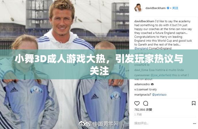 小舞3D成人游戏大热，引发玩家热议与关注
