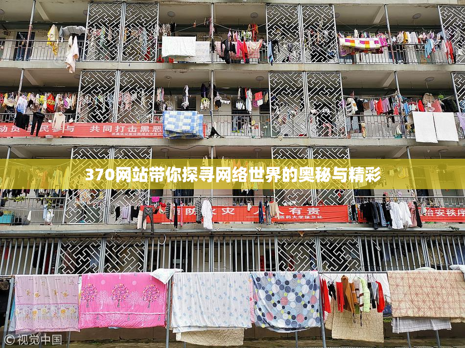 370网站带你探寻网络世界的奥秘与精彩