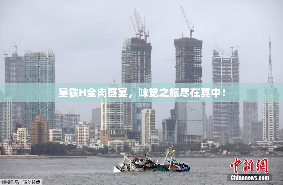 星铁H全肉盛宴，味觉之旅尽在其中！