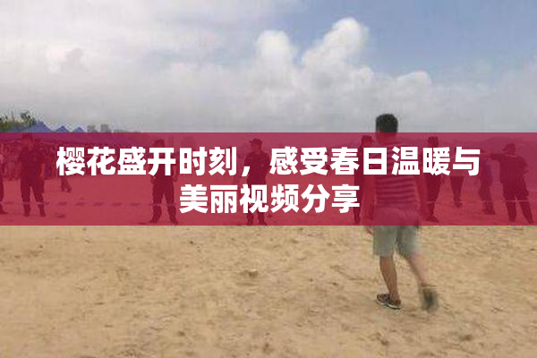 樱花盛开时刻，感受春日温暖与美丽视频分享