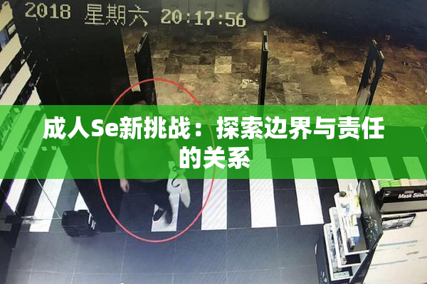成人Se新挑战：探索边界与责任的关系
